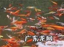 疫情刚过,公园适合卖什么东西,准备摆个小摊?