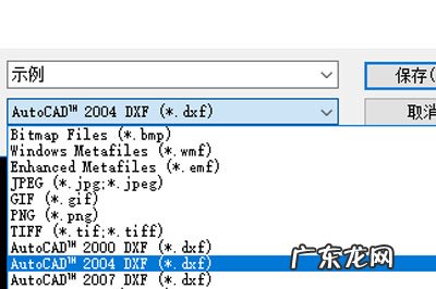 dwg格式转换 DWG怎么快速转DXF