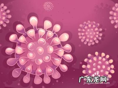 新型冠状病毒是什么,什么是新型冠状病毒,新型冠状病毒传播途径?