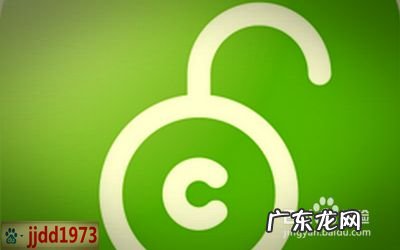 手机赚钱的最佳利器是什么,赚钱利器?