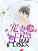 我的双面总裁百度云txt 我的双面总裁