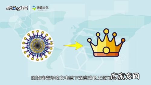 什么是新型冠状病毒,什么是新型冠状病毒简介?