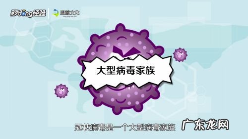 什么是新型冠状病毒,什么是新型冠状病毒简介?