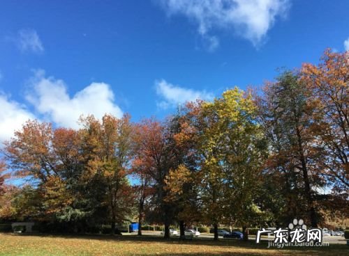 怎么预防新型冠状病毒,疫情个人十条防护措施?