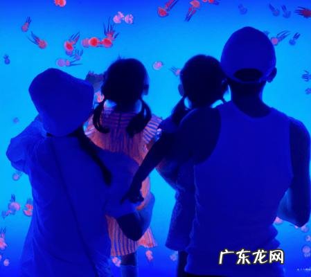 谢娜结婚照图片 谢娜和张杰结婚照