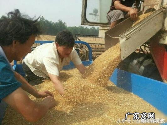 窦骁胸毛视频播放 窦骁胸毛