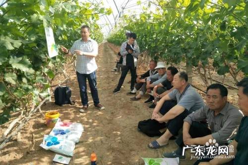 新型肥料的类型及特点,中国目前有哪些新型肥料?