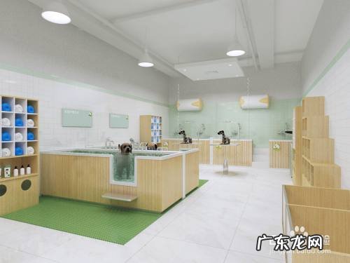 开宠物店的赚钱多不多,开宠物店一年能赚多少?