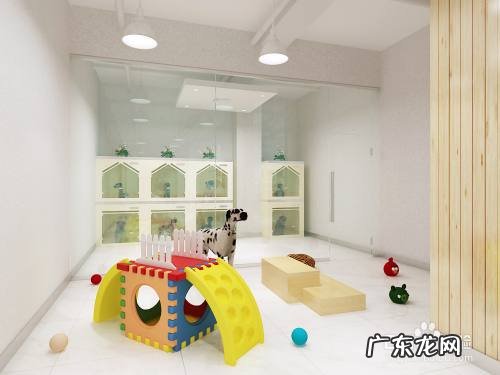 开宠物店的赚钱多不多,开宠物店一年能赚多少?