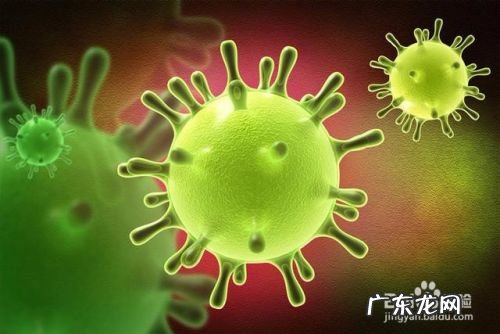 什么是新型冠状病毒肺炎