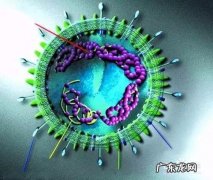 什么是冠状病毒与新型冠状病毒,冠状病毒为什么这么可怕？