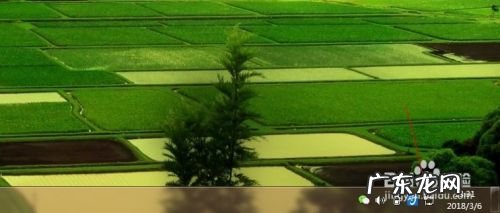 电脑怎么连接手机的网络,台式电脑怎么连接手机的网络？