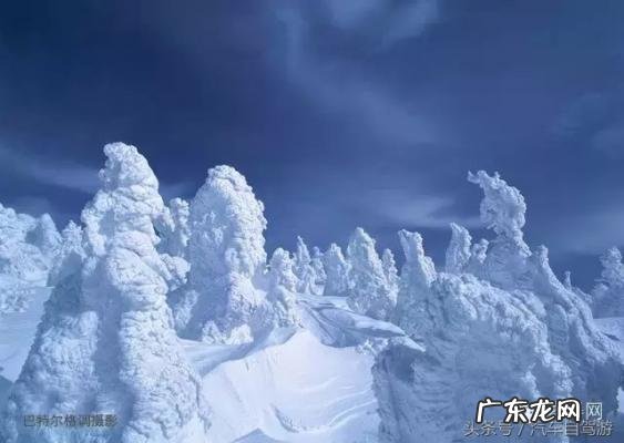 深宫谍影格泰是谁的儿子 格泰是谁的儿子