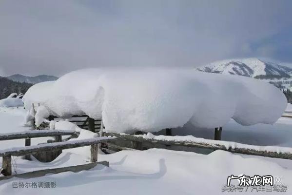深宫谍影格泰是谁的儿子 格泰是谁的儿子
