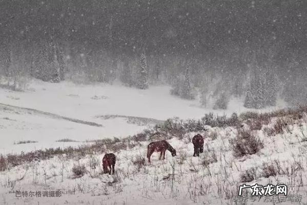 深宫谍影格泰是谁的儿子 格泰是谁的儿子