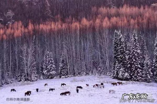 深宫谍影格泰是谁的儿子 格泰是谁的儿子