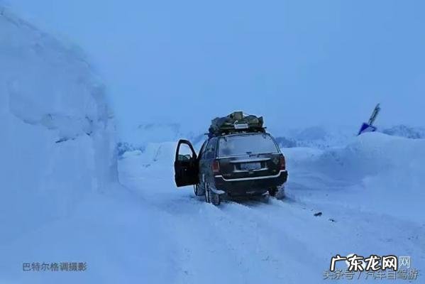 深宫谍影格泰是谁的儿子 格泰是谁的儿子