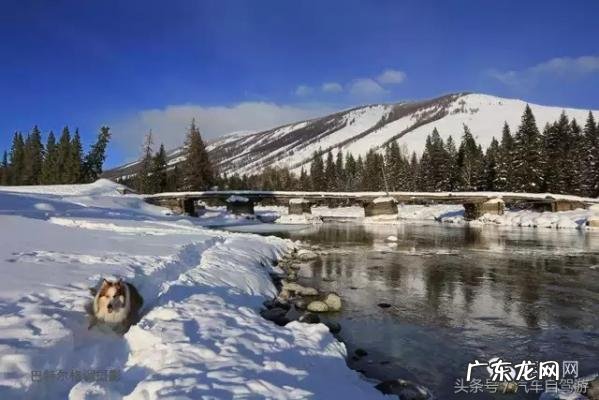 深宫谍影格泰是谁的儿子 格泰是谁的儿子