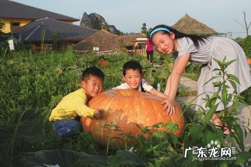 怎样才能赚更多的钱,一天挣300-500的方法?