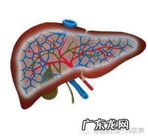 孕前检查查什么-备孕前注意事项