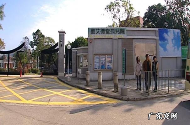 刑警2010结局谁陷害stone 刑警2010结局