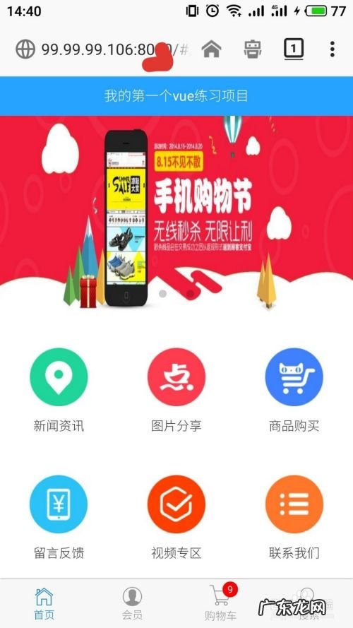 手机访问 vue,手机vue使用教程?