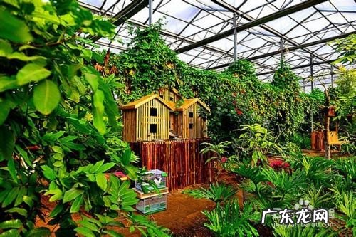 北京11月去哪儿玩