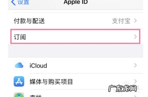 苹果手机怎么取消订阅付费项目,强制删除苹果订阅记录?