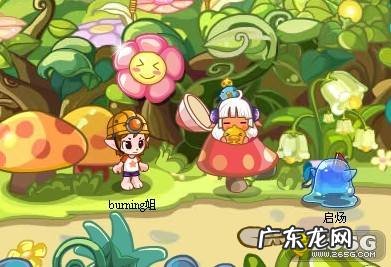 洛克王国11月26日回忆明信片1,洛克王国回忆套装?