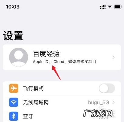 苹果手机扣费项目怎么关闭,如何把apple取消扣费?