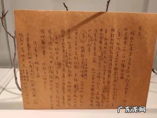 苏见信的女儿唱爱情36计 苏见信的女儿