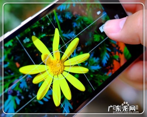 手机拍照技巧与角度,手机拍照如何选角度?