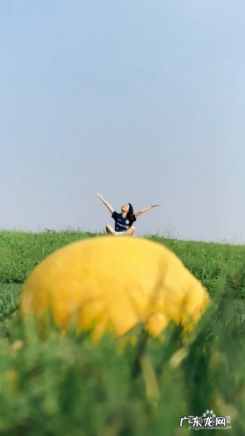 手机拍照小技巧有哪些