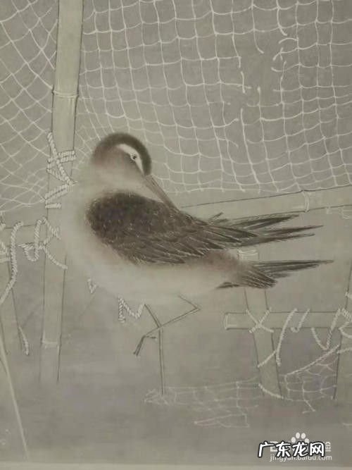 手机拍照技巧教程