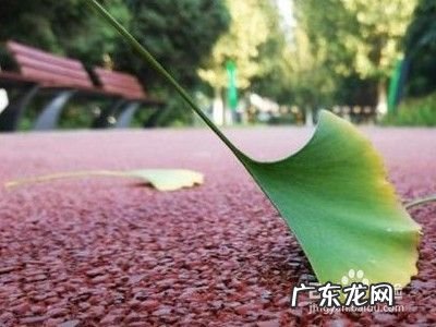 手机拍照有哪些技巧