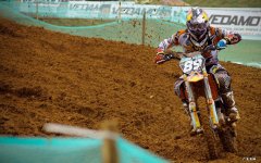 减肥晚上可以吃红薯吗揭秘红薯的吃用禁忌和营养价值