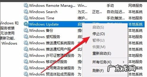 windows10无法更新 Win10无法更新是什么原因