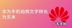 华为手机拍照文字转化为文本