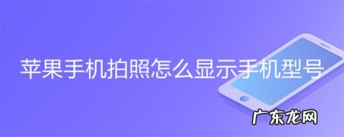 苹果手机拍照怎么显示手机型号