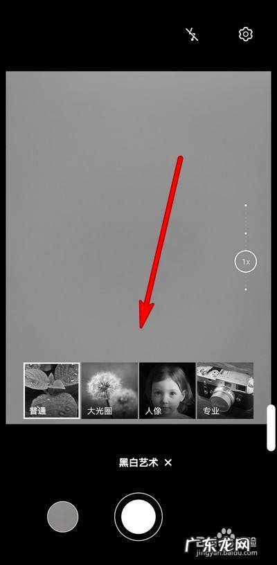 华为手机拍照黑白艺术怎么使用