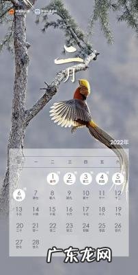 怀孕2-3周注意事项 怀孕31周注意事项