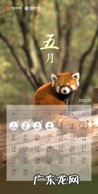 怀孕2-3周注意事项 怀孕31周注意事项