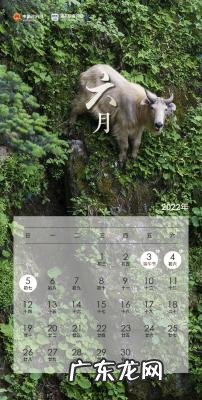 怀孕2-3周注意事项 怀孕31周注意事项