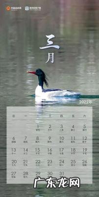 怀孕2-3周注意事项 怀孕31周注意事项