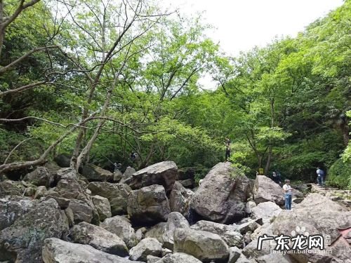 手机拍照构图技巧,手机拍照构图线在哪里?