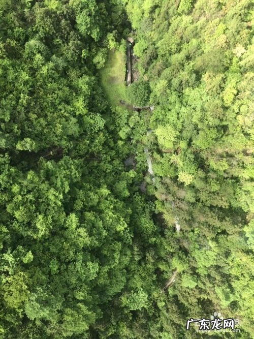 手机拍照构图技巧,手机拍照构图线在哪里?