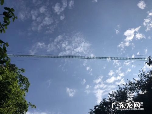 手机拍照构图技巧,手机拍照构图线在哪里?