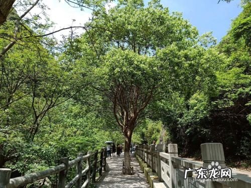 手机拍照构图技巧,手机拍照构图线在哪里?