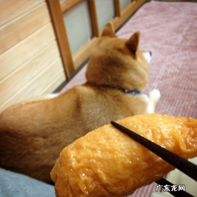 什么运动最能减肥,而且减的速度最快