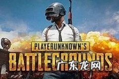 手机上的大逃杀好玩吗